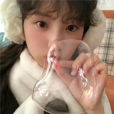 神探忠犬