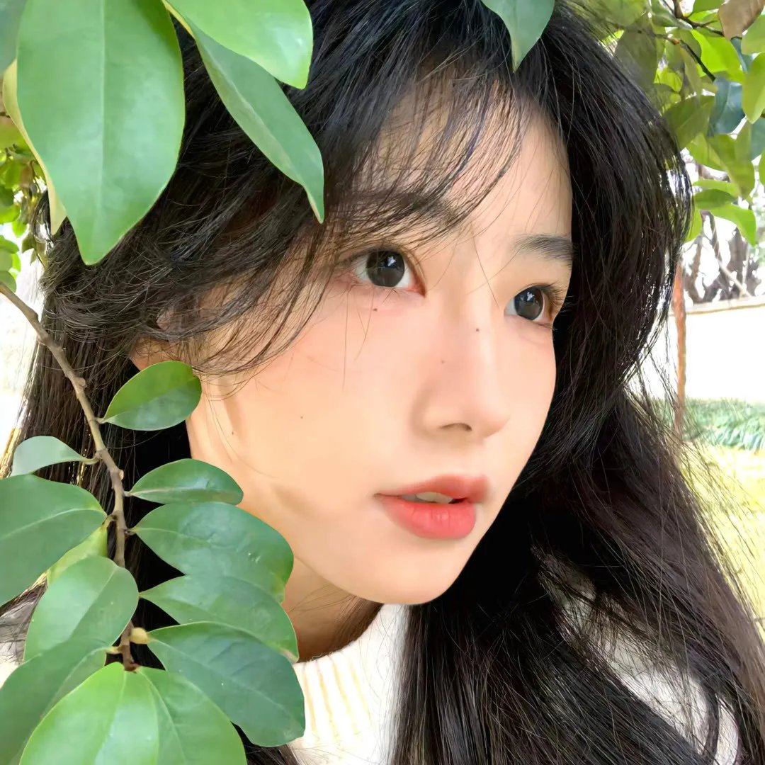 相反的一天